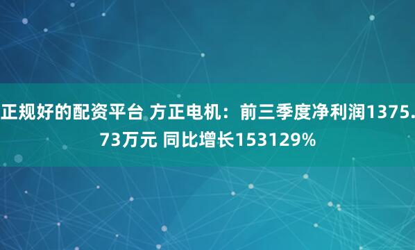 正规好的配资平台 方正电机：前三季度净利润1375.73万元 同比增长153129%