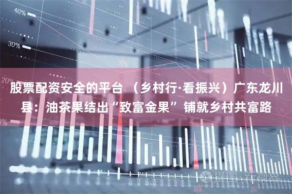 股票配资安全的平台 （乡村行·看振兴）广东龙川县：油茶果结出“致富金果” 铺就乡村共富路
