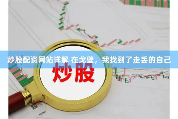 炒股配资网站详解 在戈壁，我找到了走丢的自己